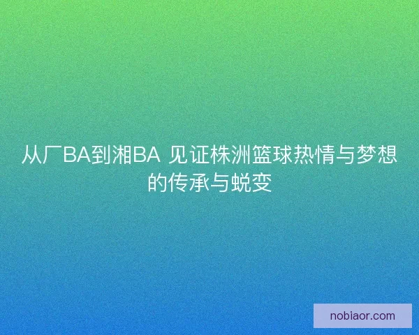 从厂BA到湘BA 见证株洲篮球热情与梦想的传承与蜕变