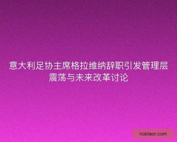 意大利足协主席格拉维纳辞职引发管理层震荡与未来改革讨论
